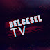 Belgesel TV (tr)