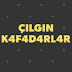 ÇILGIN KAFADARLAR