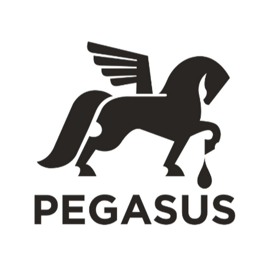 Podjetni Ki Center Pegasus Youtube