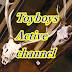 Toyboys Active channel