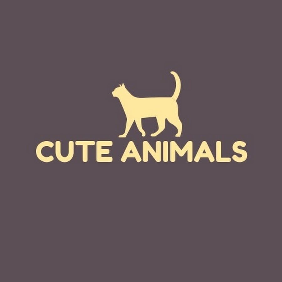Cute Animals No.1