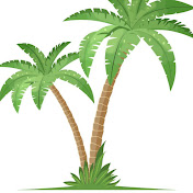 Island Fusion Chef