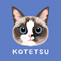 Fluffy cat ragdoll Kotetsu