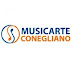 Musicarte Conegliano Strumenti Musicali