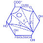Cura FISIOLOGICA VALENCIA