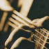 logo Tim McGaughy