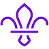 Manx Scouts