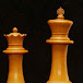 Rapid chess