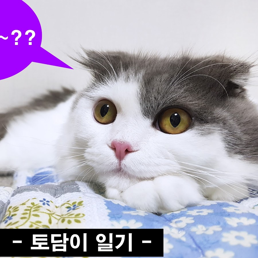 토담쓰담TV - YouTube 토담쓰담TV