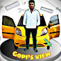 Gopi's view