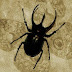logo Observações Naturalistas