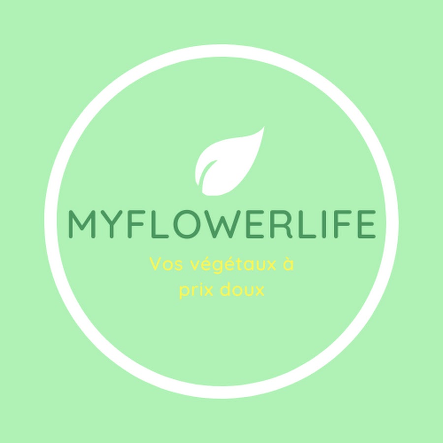 MYFLOWERLIFECOM Les végétaux à prix doux ! - YouTube MYFLOWERLIFECOM Les végétaux à prix doux !