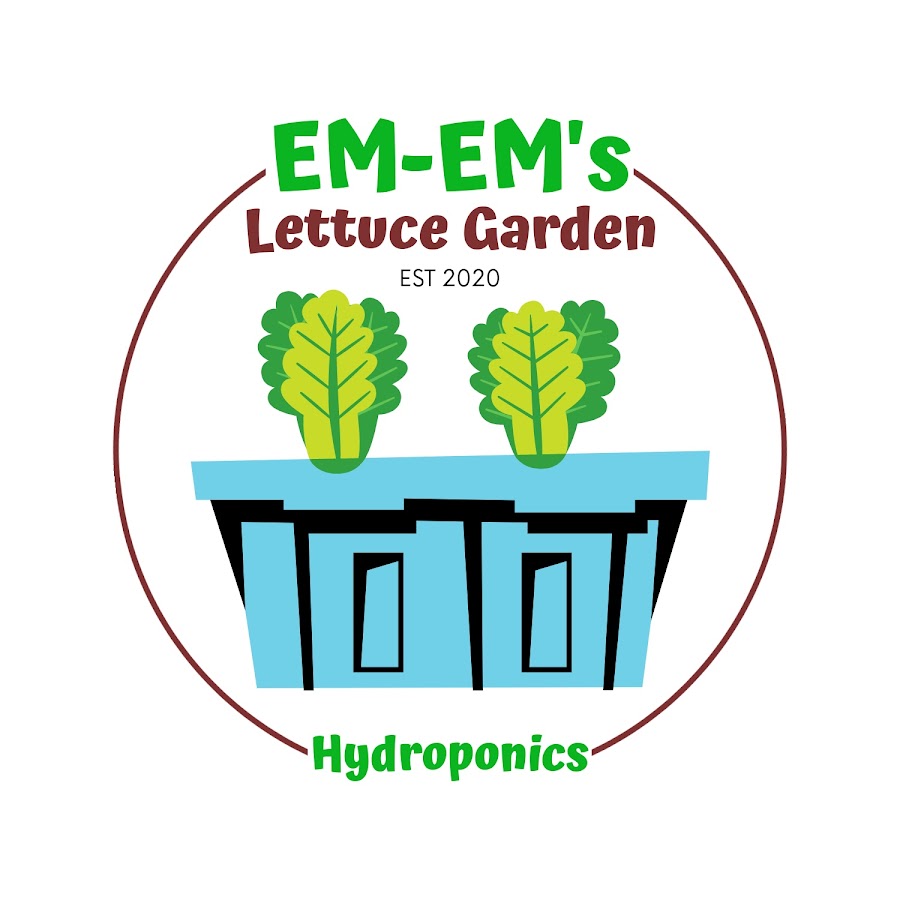 Em-Ems Lettuce Garden - YouTube Em-Ems Lettuce Garden