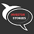 logo Investor Stories