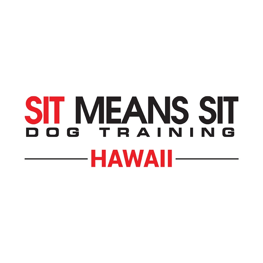 Sit Means Sit Hawaii Dog Training