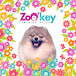 ZoOkey груминг салон Зоокей