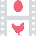 Chicken & Egg Pictures