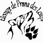 Elevage de Prana des Loups