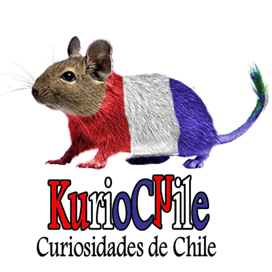 KurioChile: Cosas Acerca De Chile