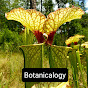 Botanicalogy