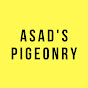 Asad’s Pigeonry