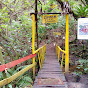 Bosque Carmen de los Juncales