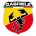 logo GabrieleNardi