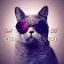 Cool Cat