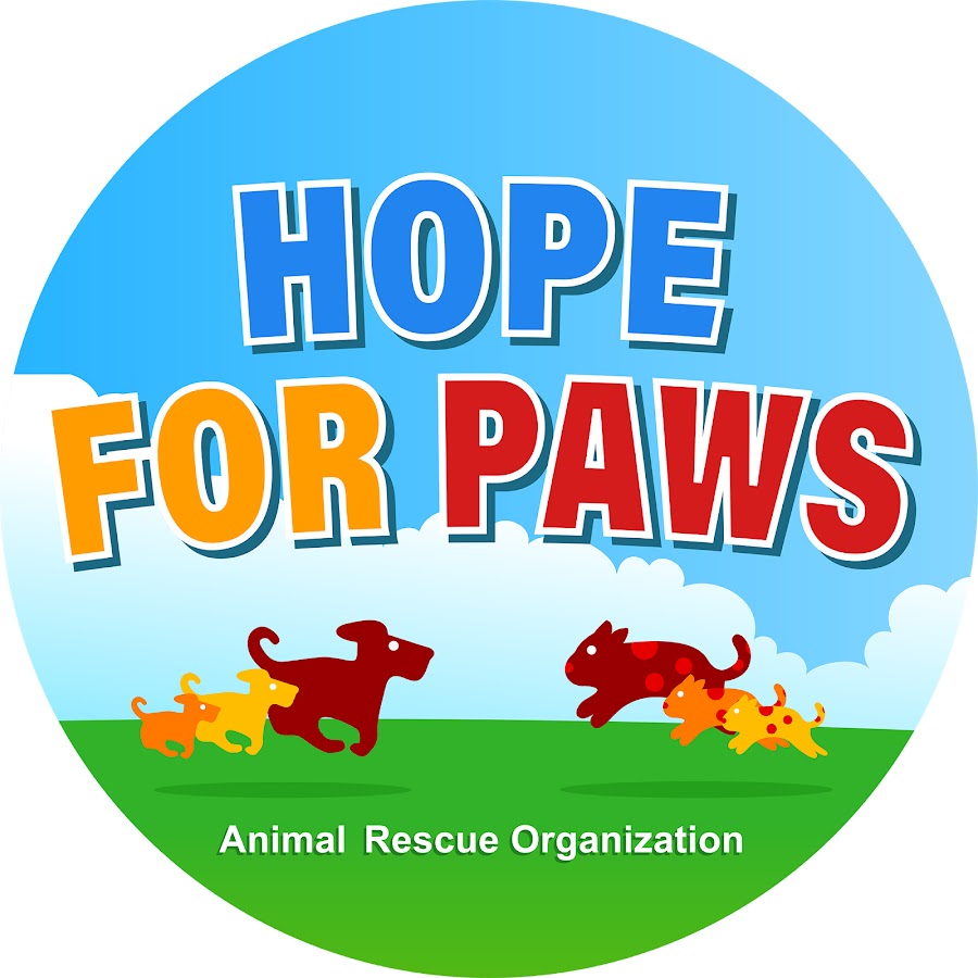 Hope For Paws - Official Rescue Channel @hopeforpaws