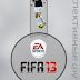 logo fifa13progress