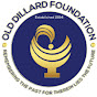 Old Dillard Foundation