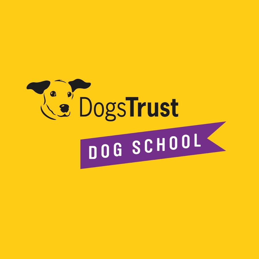 The best sale dogs trust