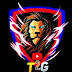 logo Top2Gamers