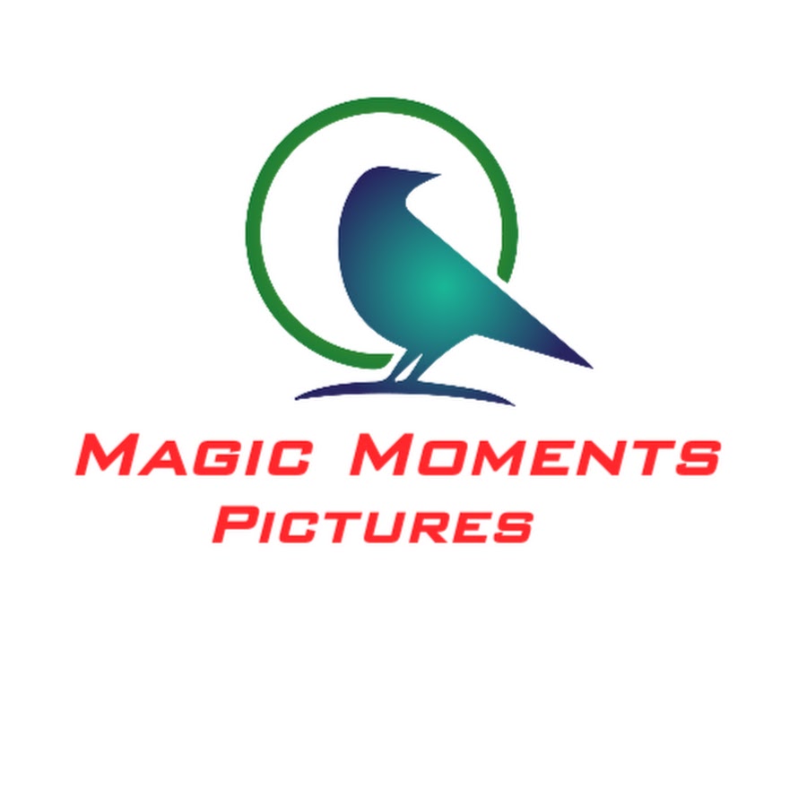 MAGIC MOMENTS PICTURES @magicmomentspictures