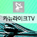 카뉴라이크TV [CarNewLike]