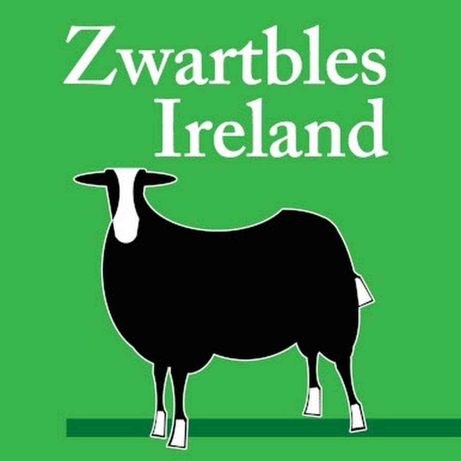 Zwartbles Ireland Suzanna Crampton