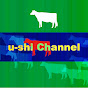 u-shi channel