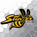 Stinger Sports