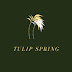 logo Tulip Spring