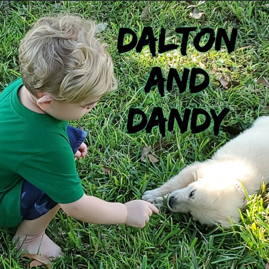 Dalton and Dandy