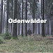 Odenwälder