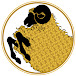 Golden Fleece Design