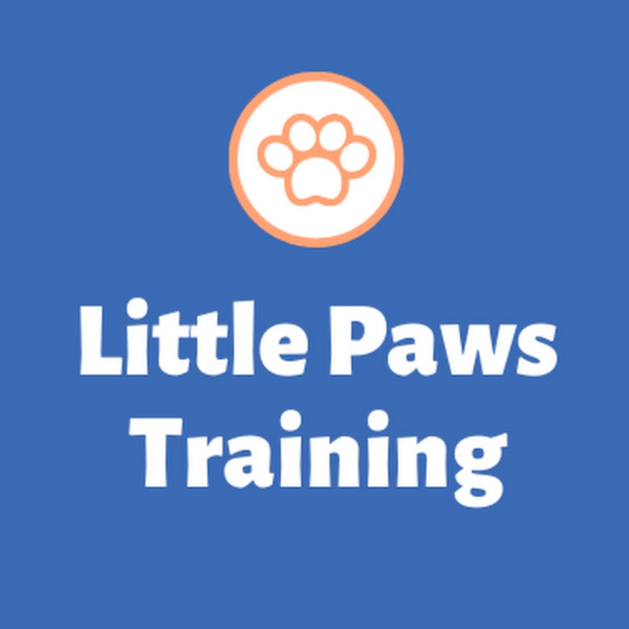 Little Paws Training