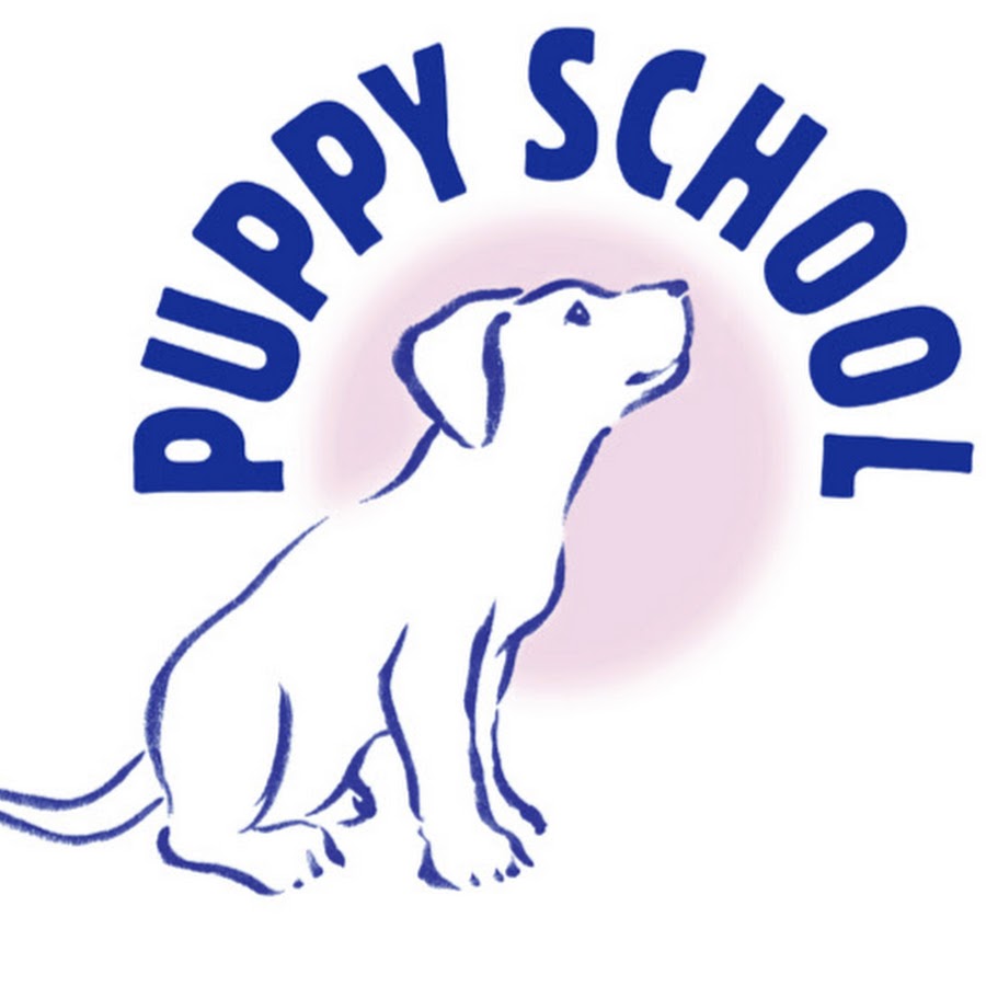 Puppy to best sale dog school