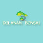 Dolanan Bonsai