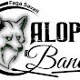 Alope Band