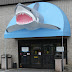 logo That Fish Place - That Pet Place