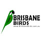 Brisbane Birds