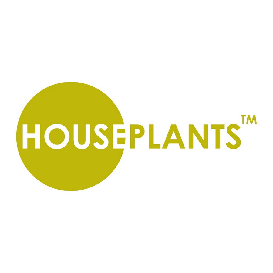 Houseplants - YouTube Houseplants