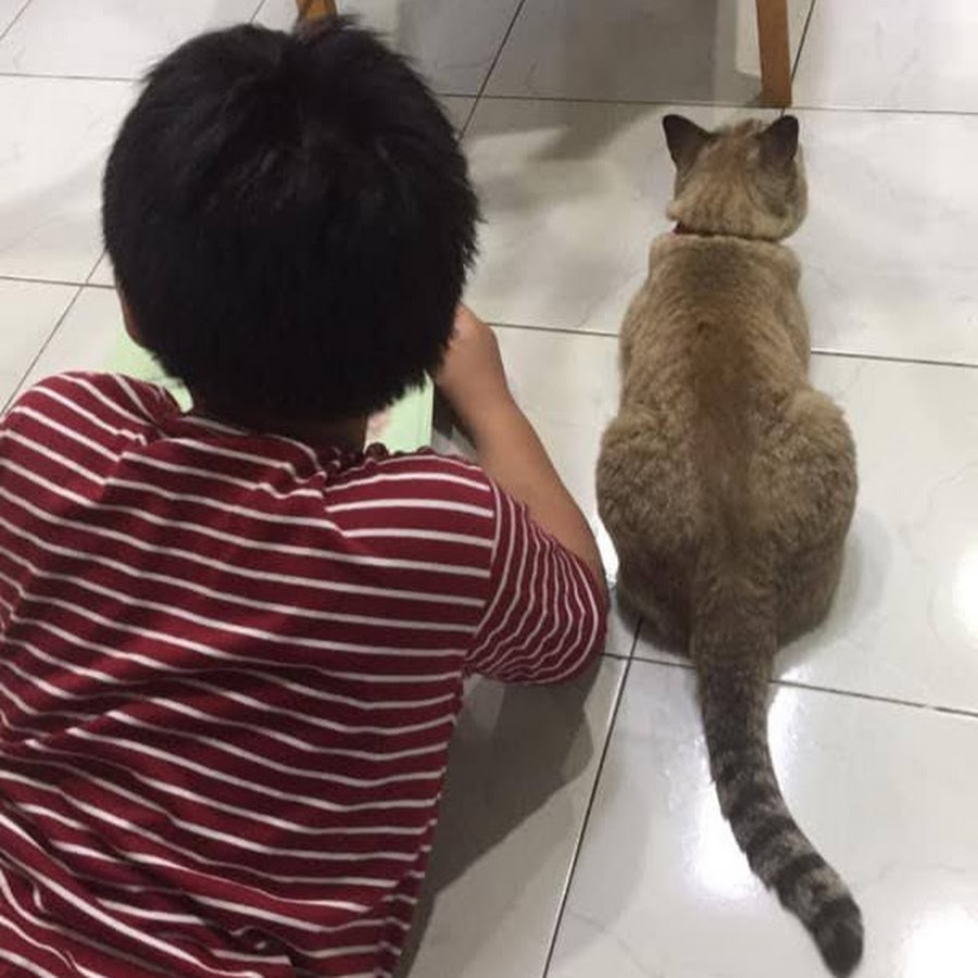 Ready go to ... https://www.youtube.com/channel/UCRs0uQ9v3PdVdzb4fD3Zgdg [ à¸£à¸¹à¸à¹à¸¡à¸·à¸­à¸à¸à¸£à¸±à¸]